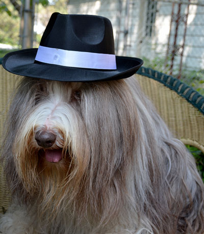 Rhys wearing a black gangster hat.